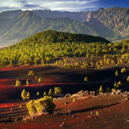 乡村民宿 Casa Gusber I *