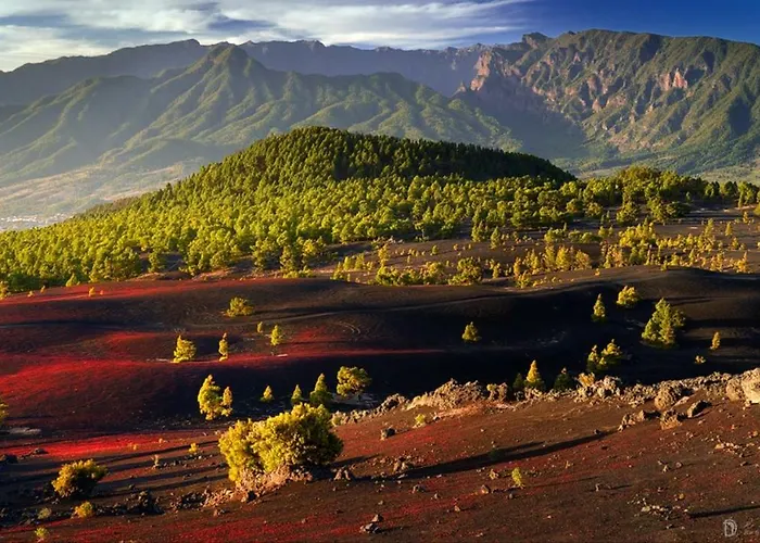 Landsted Casa Gusber I *